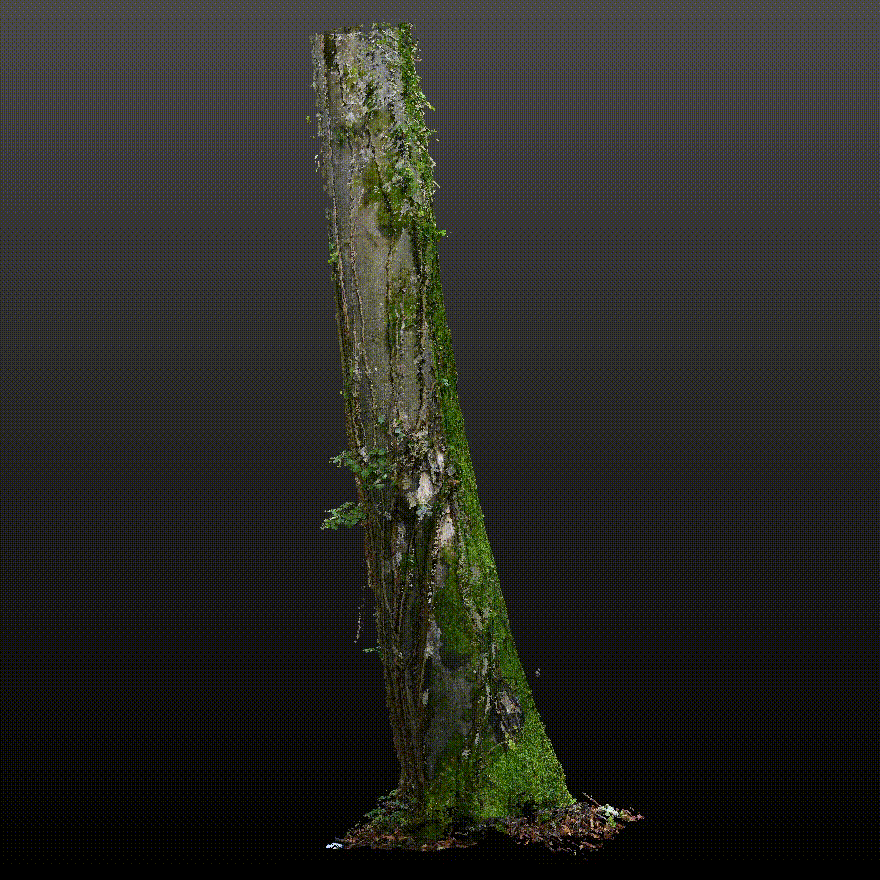 icon-stem.gif
